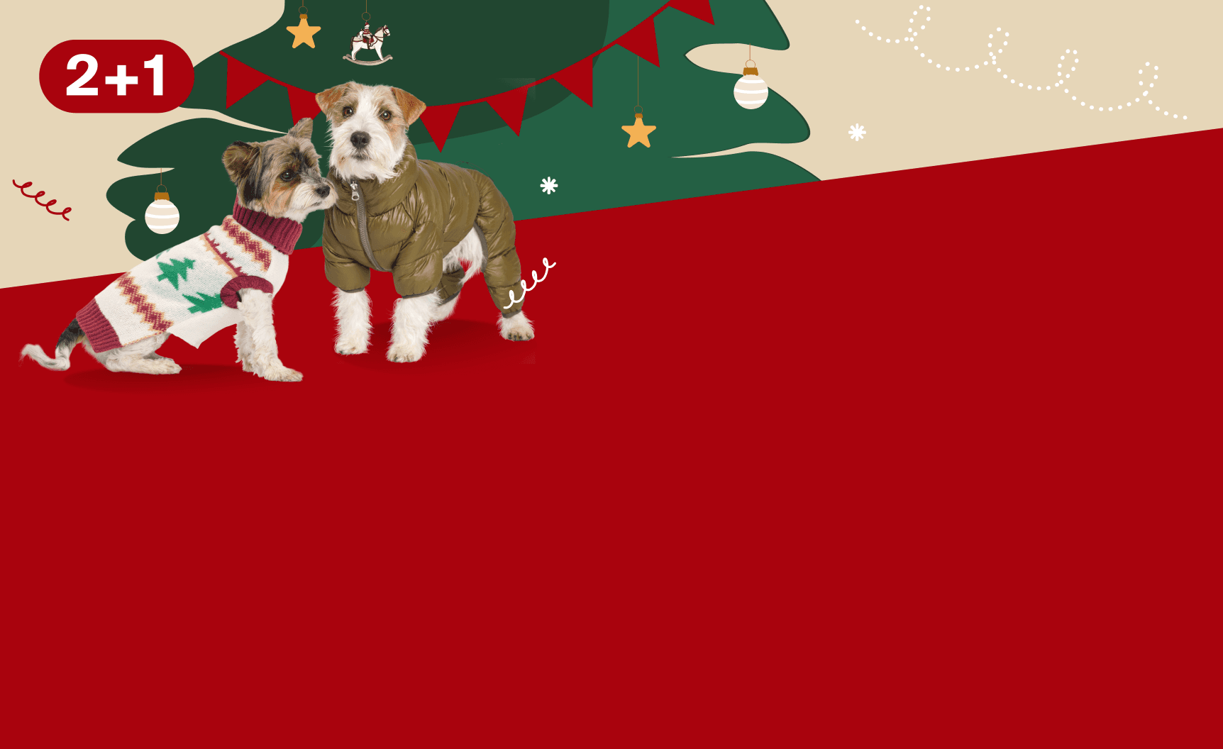 Одежда: 2+1 наряд в подарок