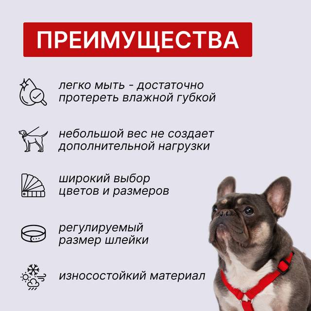 Rungo Шлейка для собак нейлоновая для собак Vario, обхват груди 48-70 ...