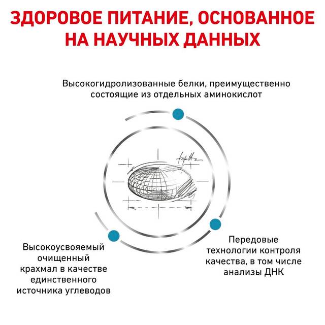 Royal Canin Anallergenic AN 24 корм для кошек при пищевой аллергии или ...