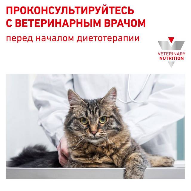 Royal Canin Anallergenic AN 24 корм для кошек при пищевой аллергии или ...